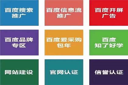 探索sem代运营公司成功案例的共同点